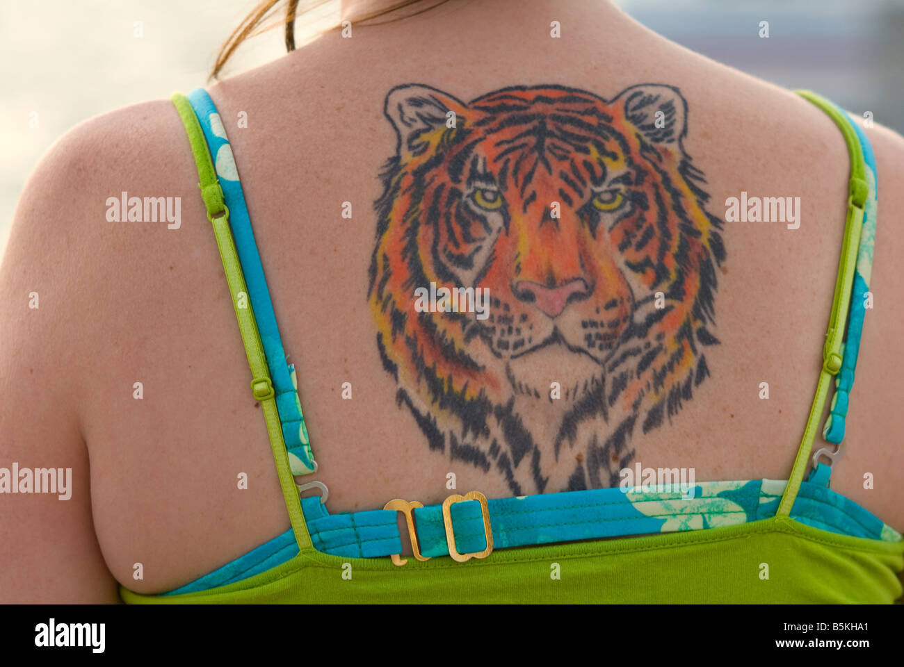 Tiger Tattoo High Resolution Stock Photography And Images Alamy