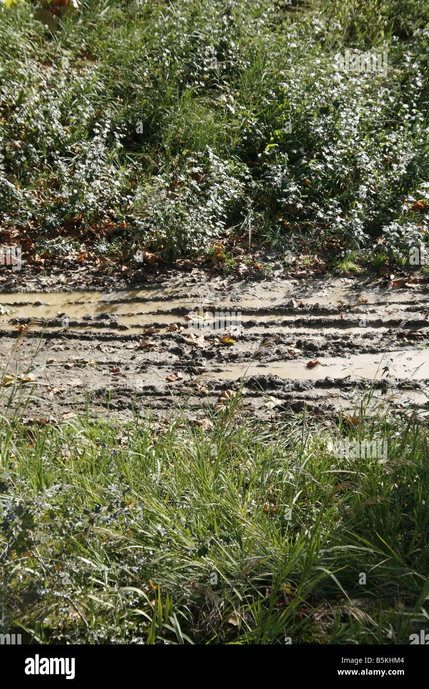 Wheel Track Rural Road wheel tracks in mud on rural track lane in country Stock Photo - Alamy