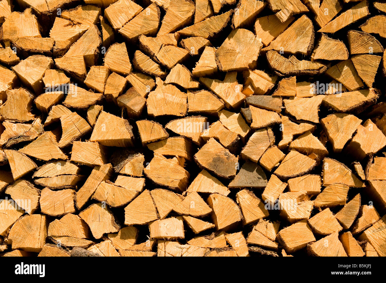 Firewood Cut and Stored for Winter at a South Cariboo Ranch, British Columbia, Canada . Stock Photo