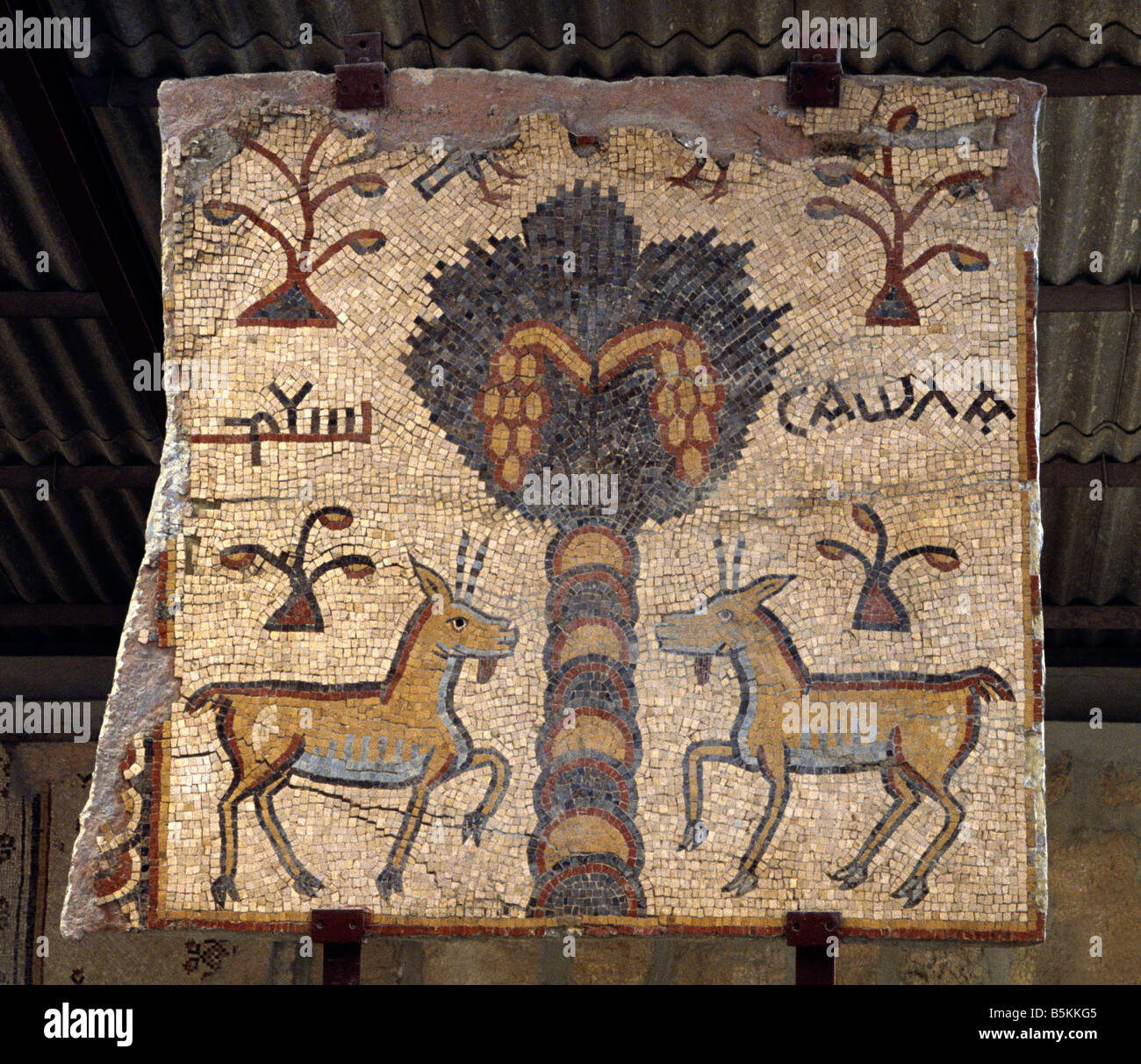 Mount Nebo Basilica of Moses Jordan Remains of Antique Mosaic - Mount Nebo said to be the Place where Moses Viewed the Promised Land Stock Photo