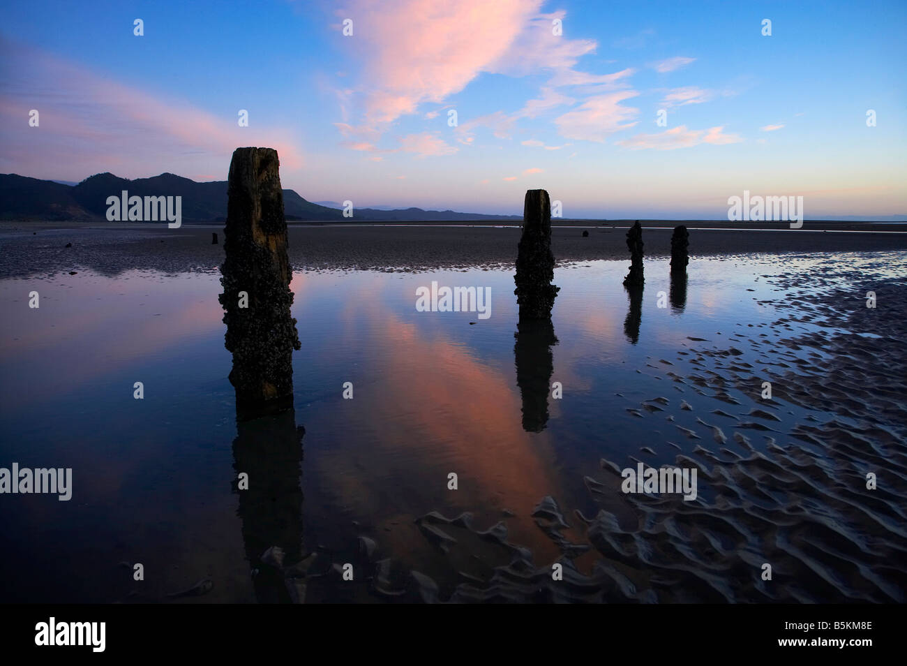 Old Jetty Piles at Sunrise Collingwood Golden Bay Nelson Region South