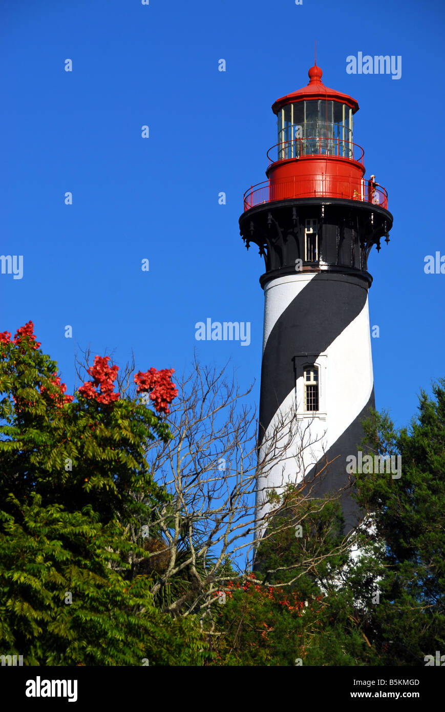 The St. Augustine Lighthouse soars above the treetops on a beautiful fall day in Florida. Stock Photo