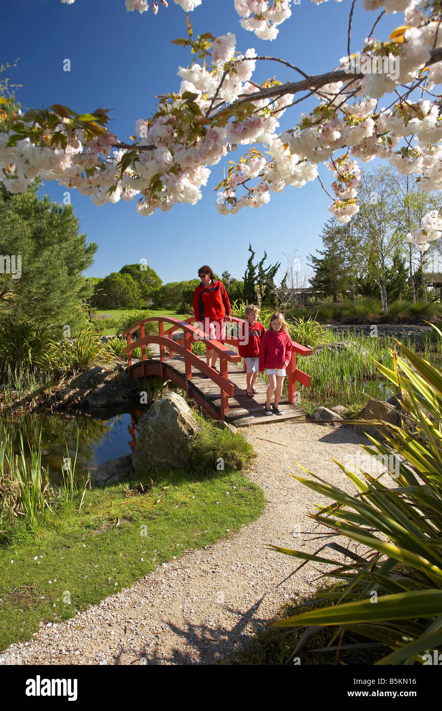Spring Blossom Miyazu Japanese Garden Nelson South Island New Zealand