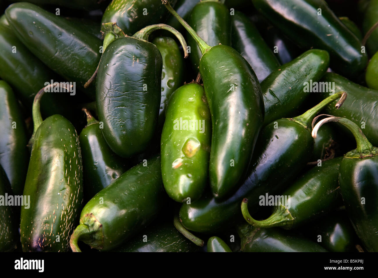 Spicy Green Jalapeno Chili Peppers Habanera Capsicum Annum Stock Photo Alamy