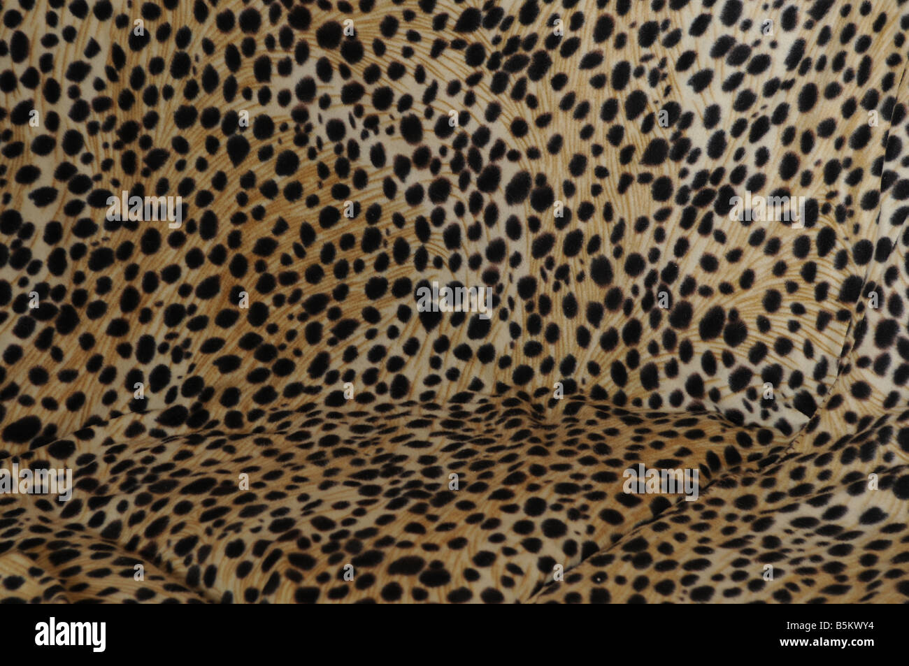 Leopard Design Pattern High Resolution Stock Photography and Images - Alamy