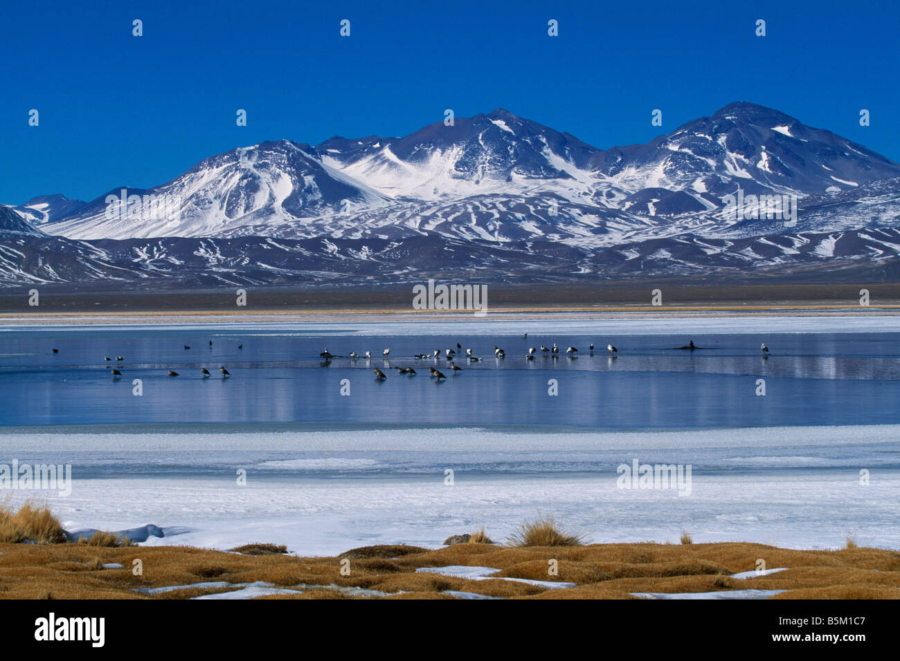 Laguna Santa Rosa Chile Hi res Stock Photography And Images Alamy Laguna Santa Rosa Chile Hi res Stock Photography And Images Alamy