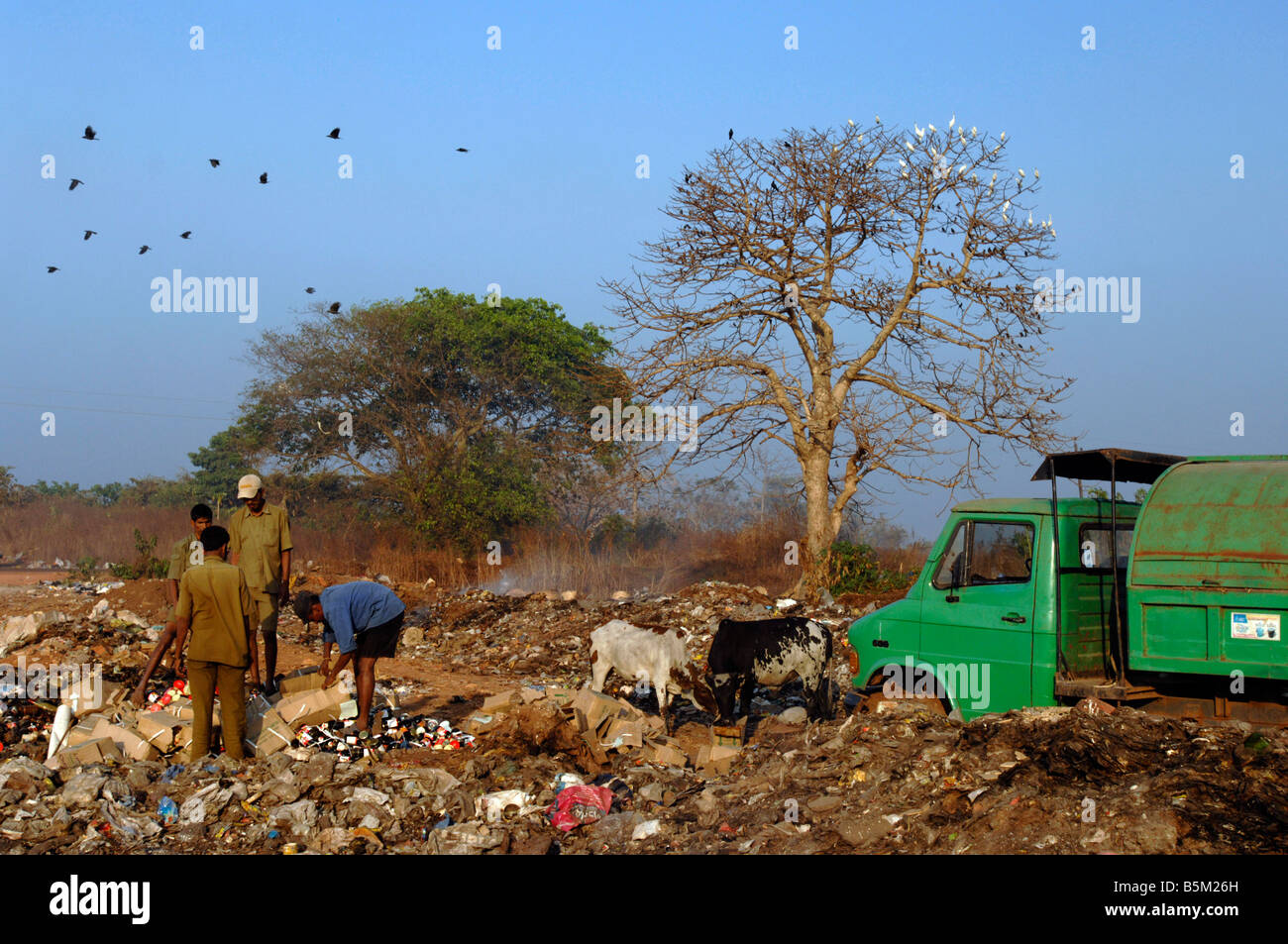 Rubbish dump near the town of Mapusa North Goa India. Local council refuse collectors sort through rubbish for items to sell. Stock Photo