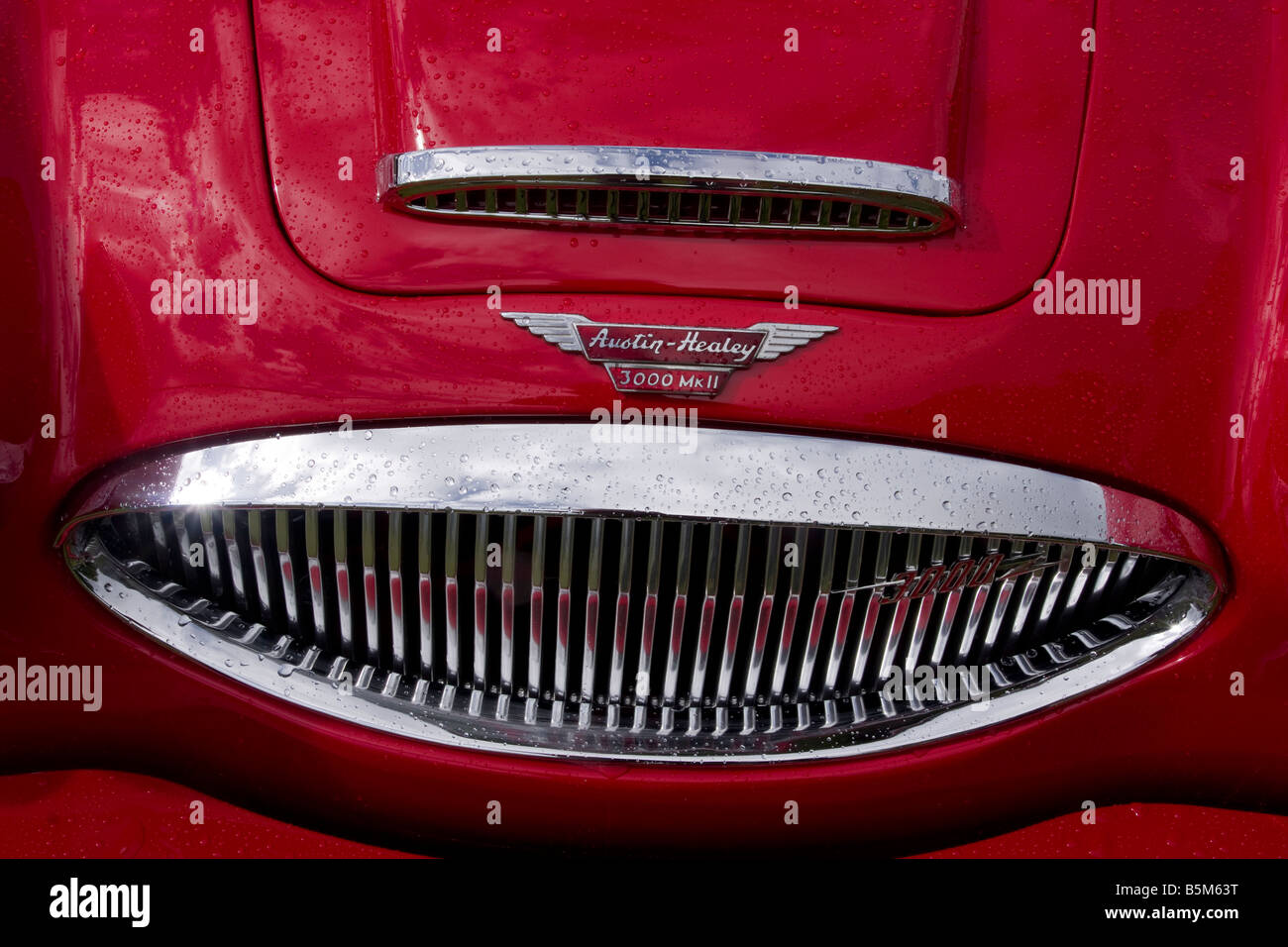 austin healey 3000 and radiator detail after rain Stock Photo Alamy