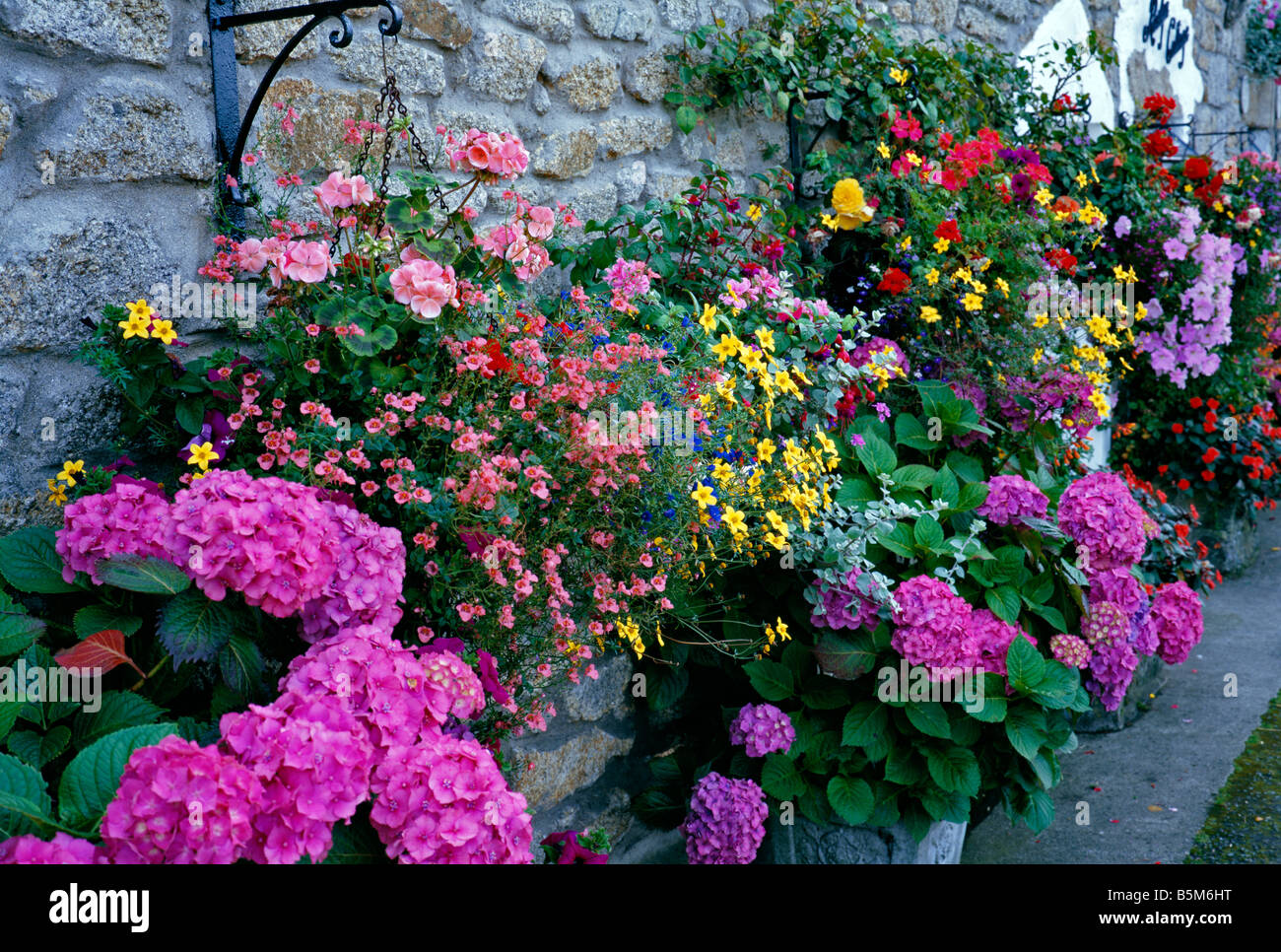 Cottage with colourful containers and hanging baskets of flowers Stock Photo