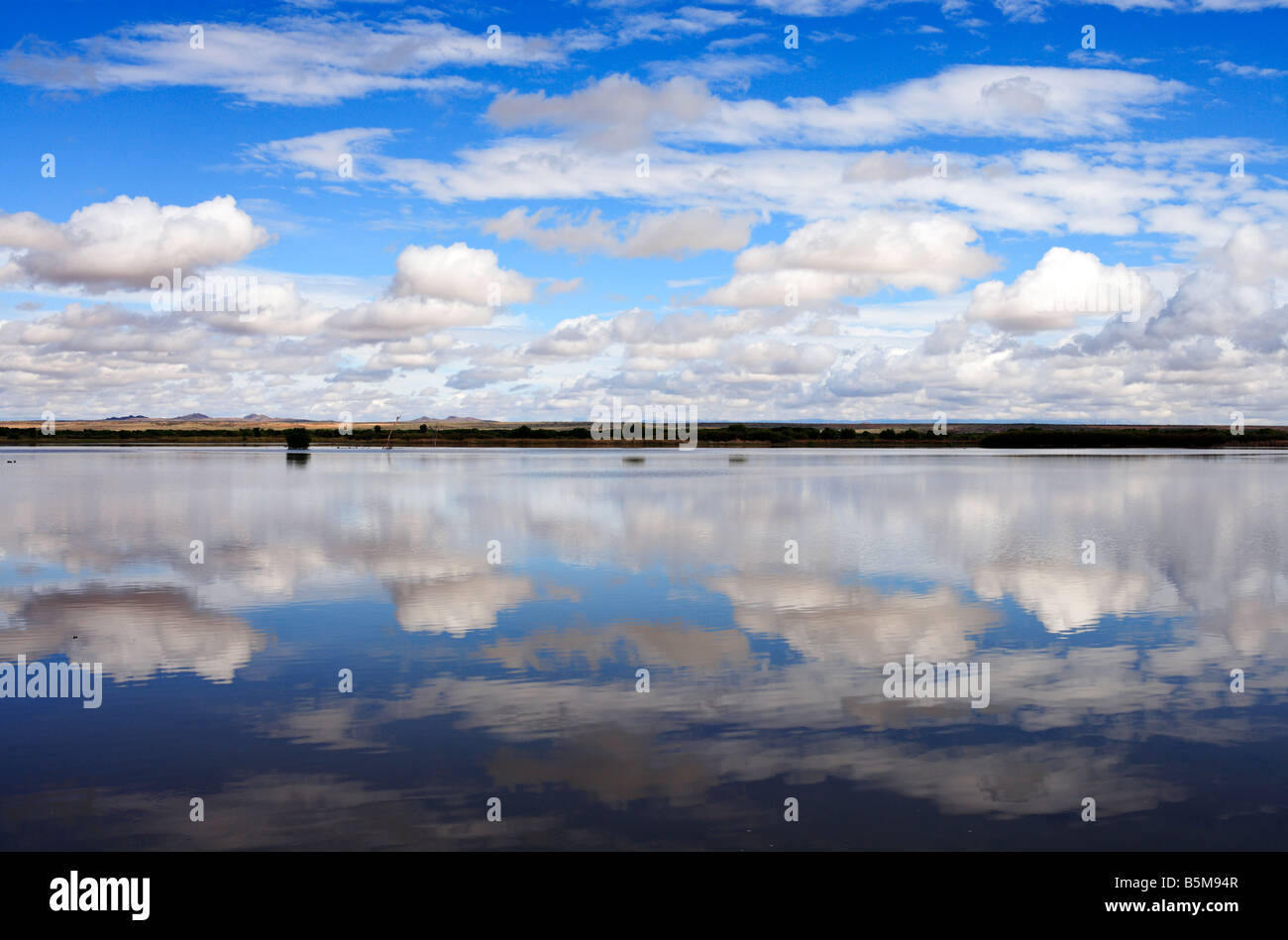 Bosque del Apache National Wildlife Refuge, New Mexico, USA Stock Photo