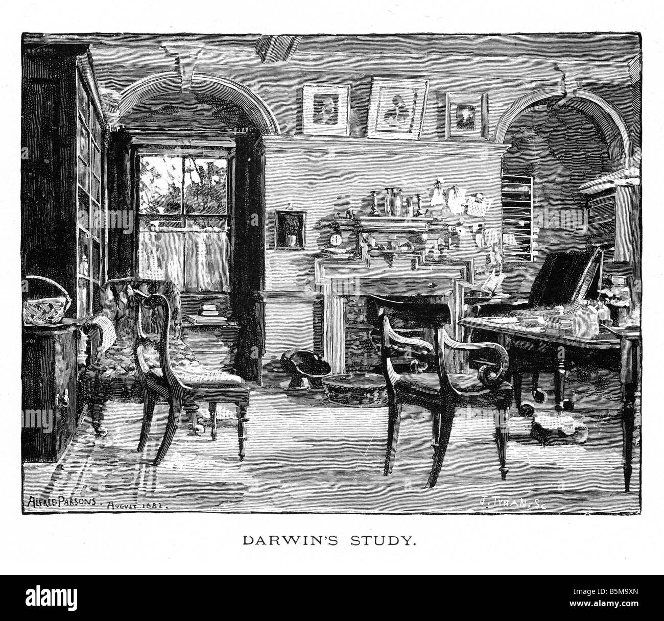 Darwin book illustration hires stock photography and images Alamy