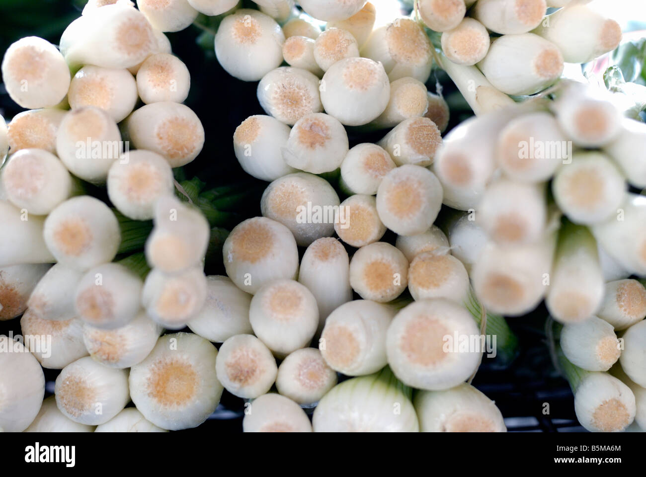 Scallions at an open air market Stock Photo