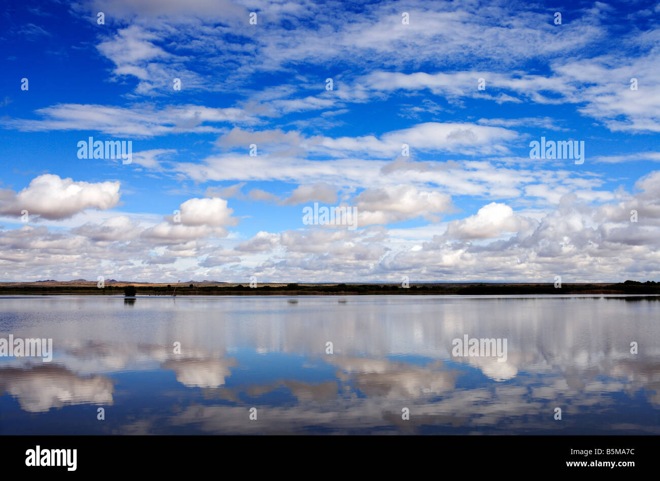 Bosque del Apache National Wildlife Refuge, New Mexico, USA Stock Photo