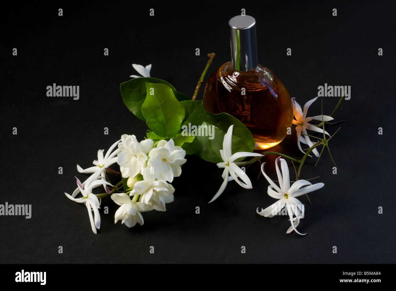 Jasmine and perfume Stock Photo Alamy