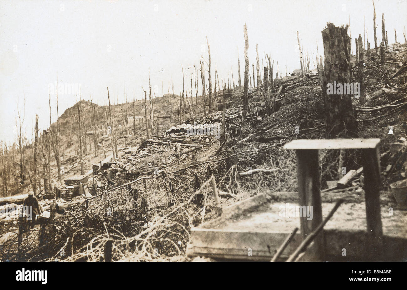 2 G55 W1 1916 17 WWI Western Front battlefield 1916 History WWI Western Front View of a battlefield at the Western Front destroy Stock Photo