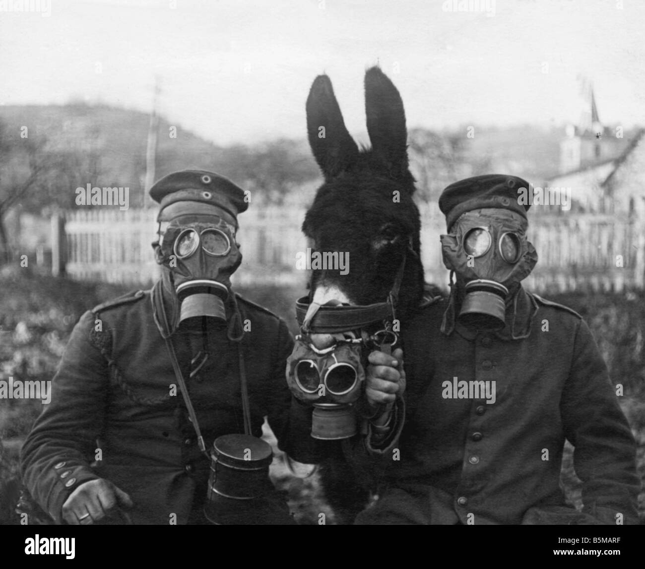 WWI Soldiers and mule w gasmasks 1917 Military Gasmasks Soldiers and a mule with gasmasks dur ing WWI Westfront Photo 1917 Stock Photo