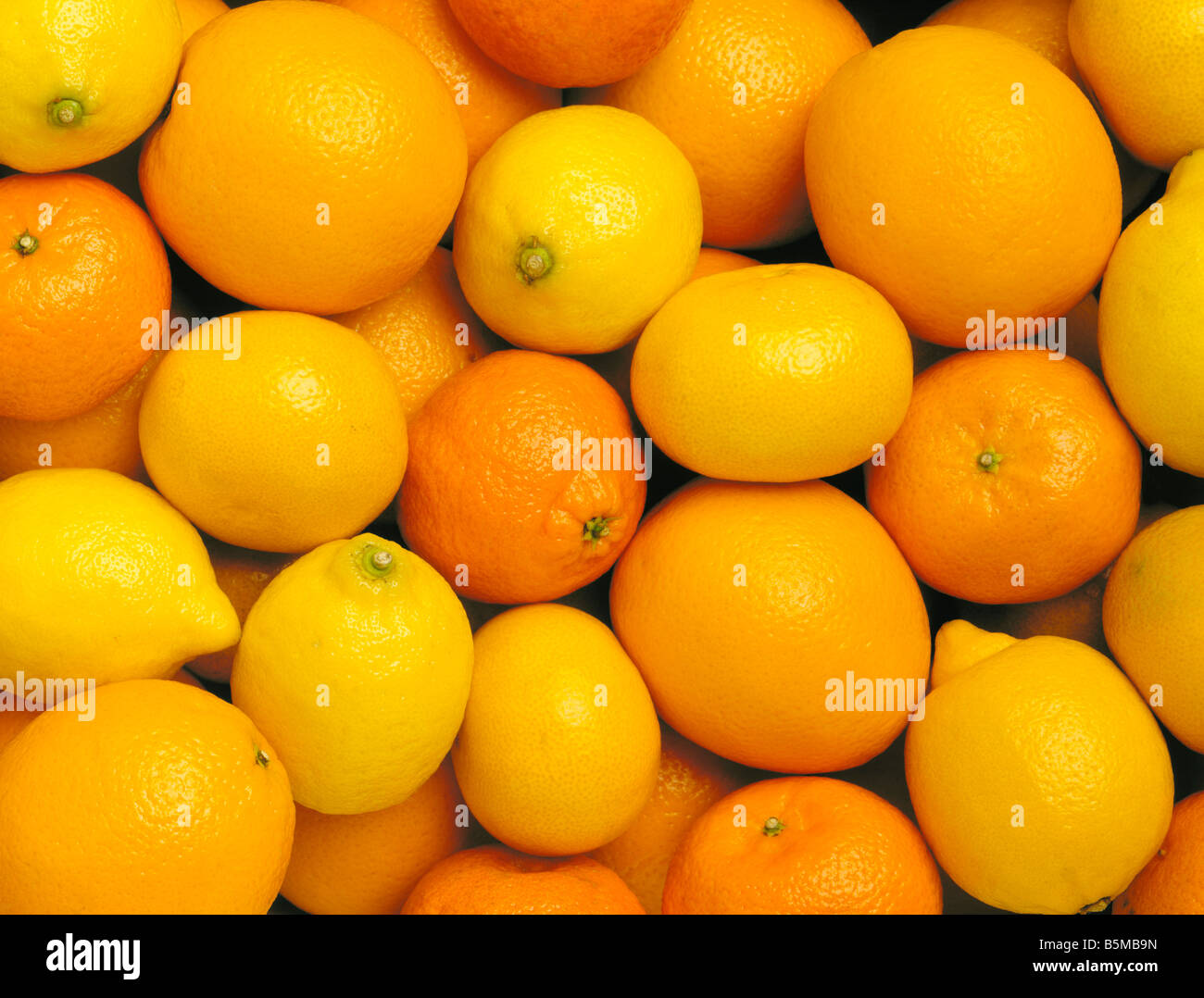 Oranges Lemons and Clementine Stock Photo Alamy
