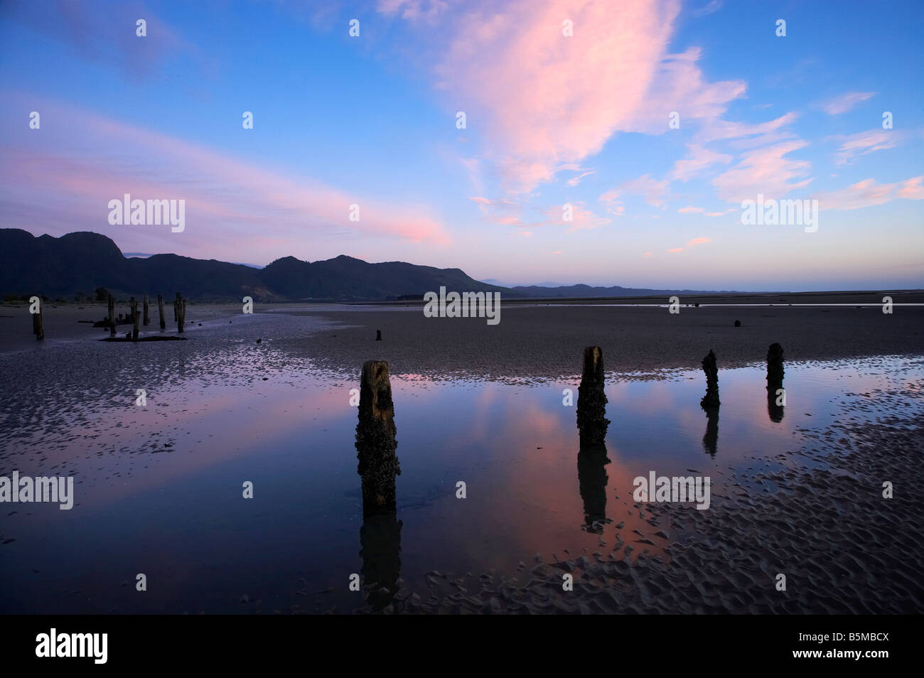 Old Jetty Piles at Sunrise Collingwood Golden Bay Nelson Region South