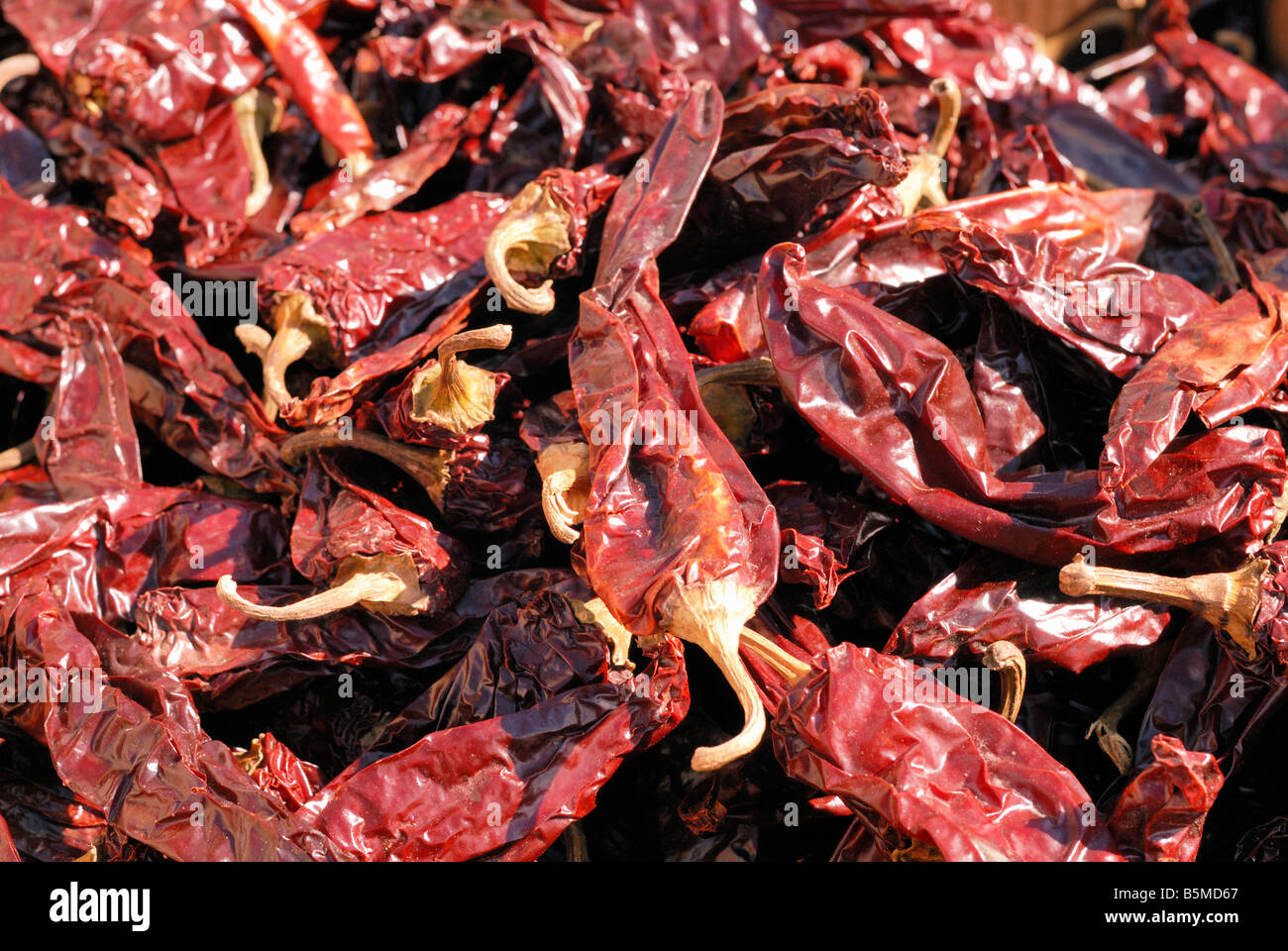 Air dried chilli hi-res stock photography and images - Alamy