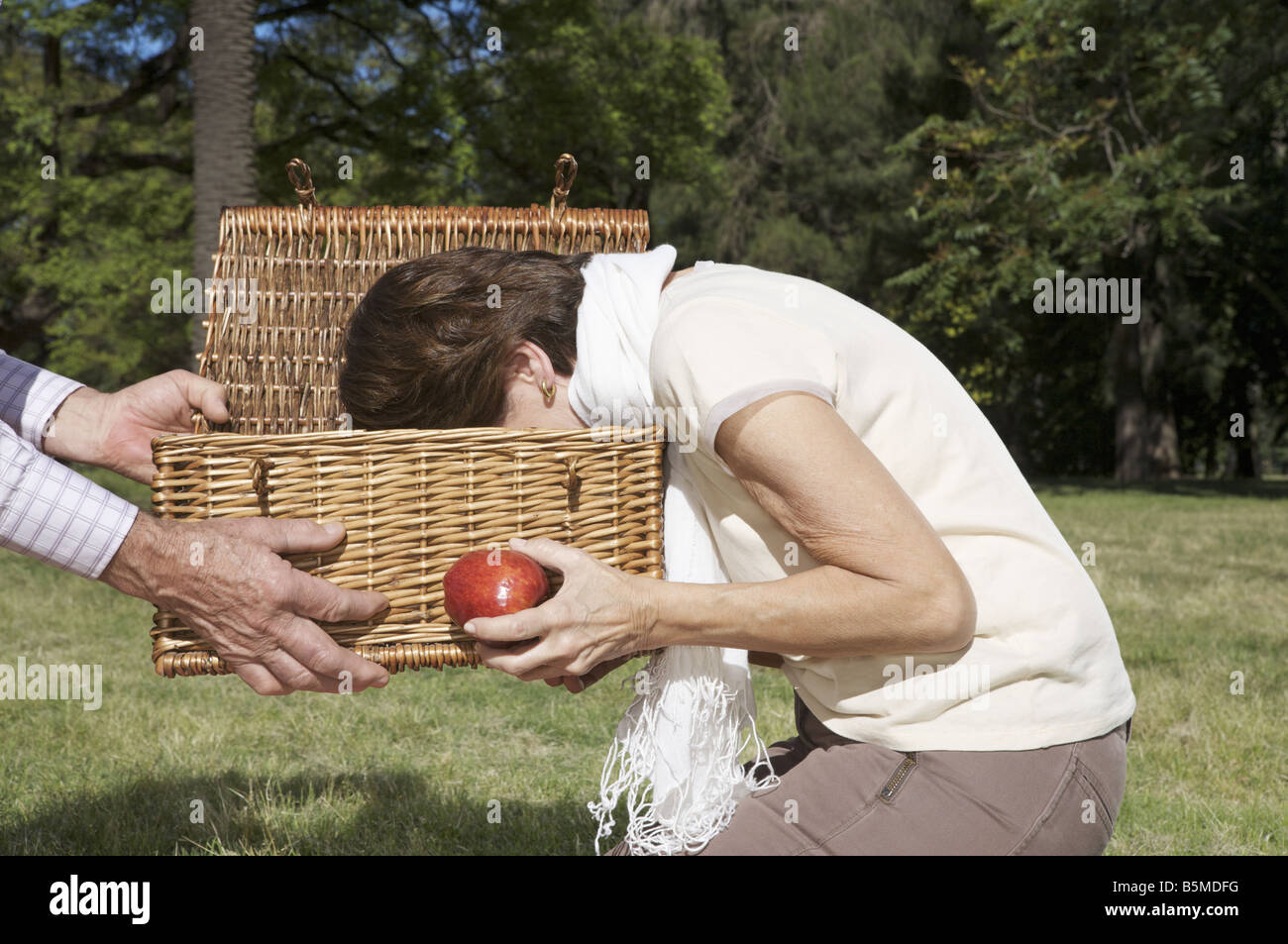 Woman vomiting into a picnic basket Stock Photo Alamy