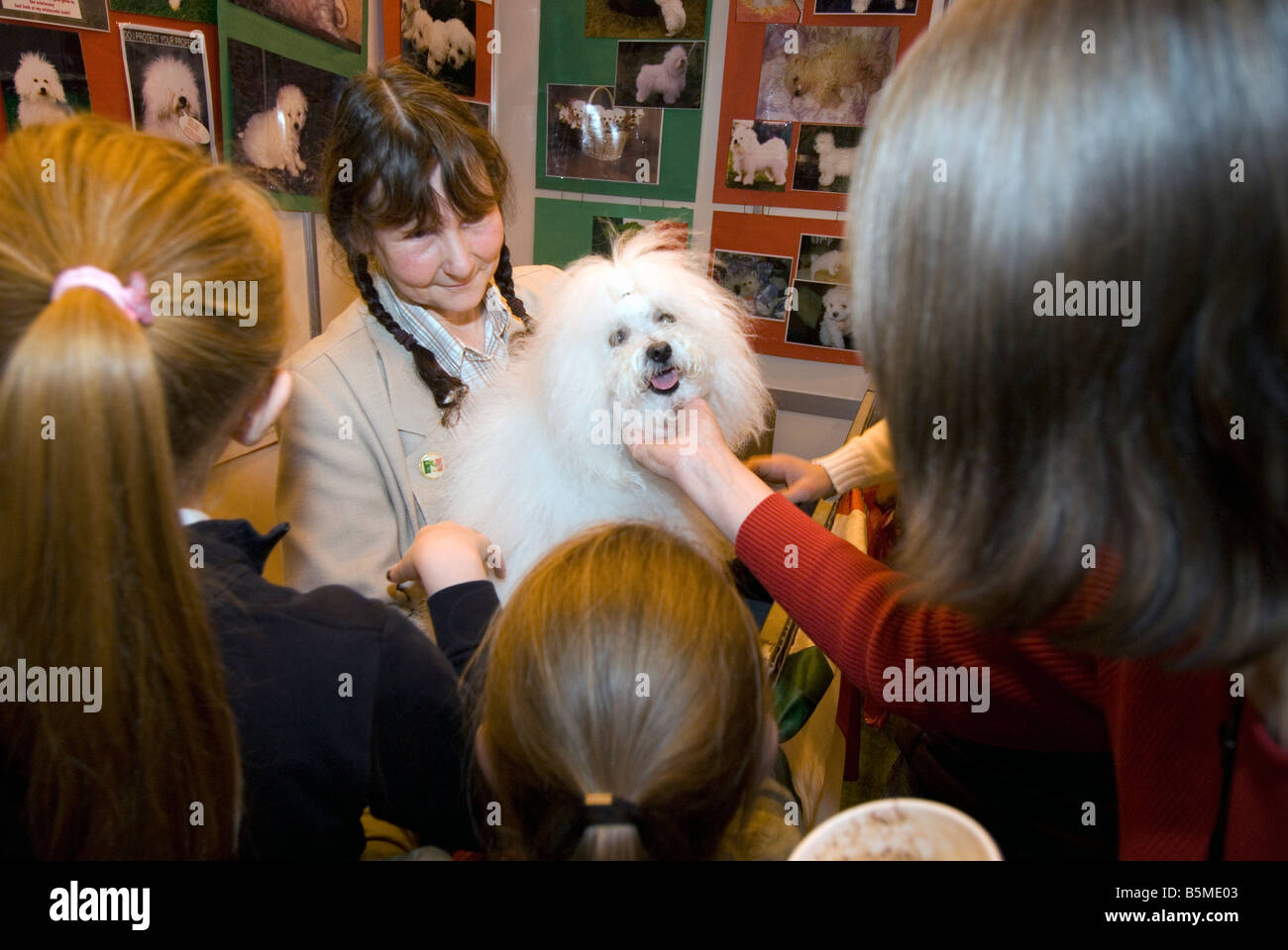 A Woman holds her Bolognese Toy dog to be admired by members of the