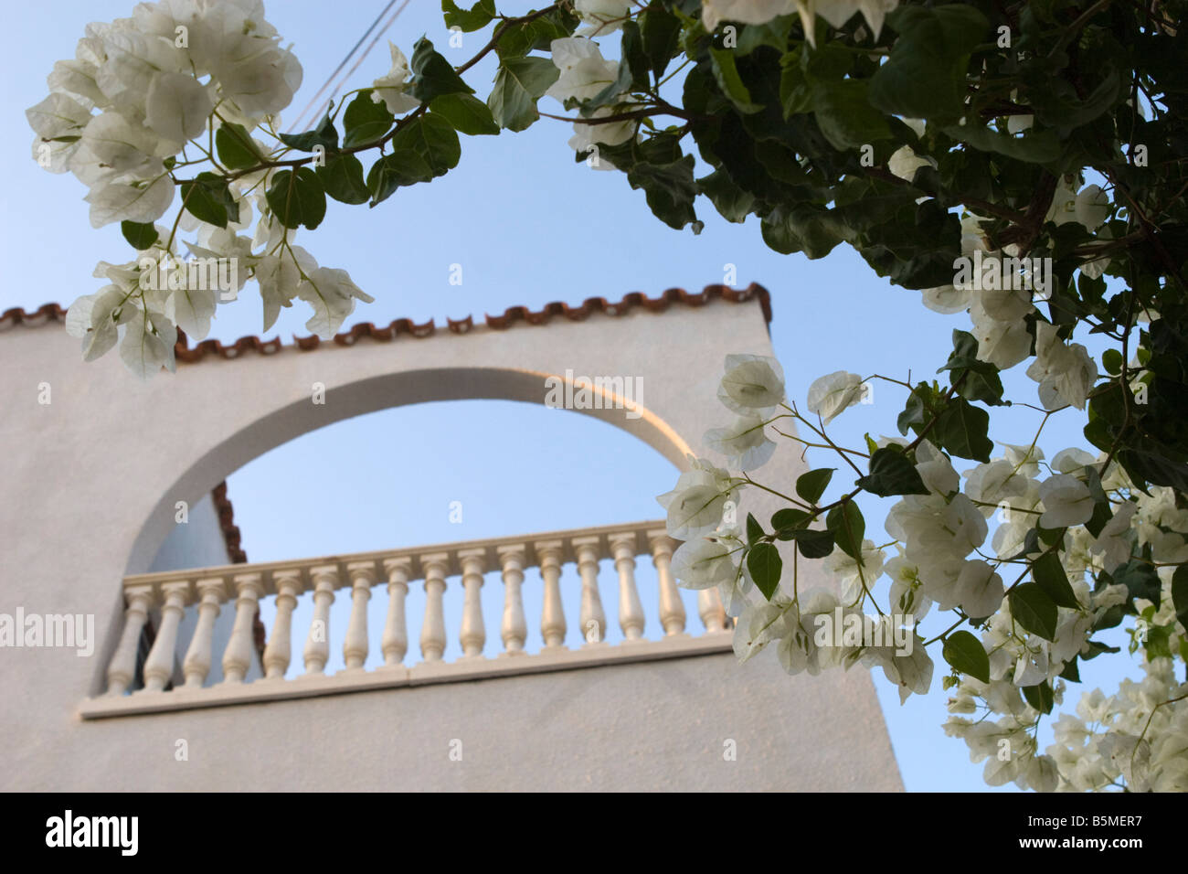 White hotel balcony with blooming flowers in front. Stock Photo