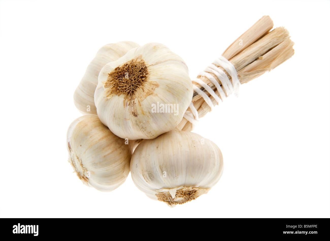 A stalk of dried garlic bulbs against a white background Stock Photo
