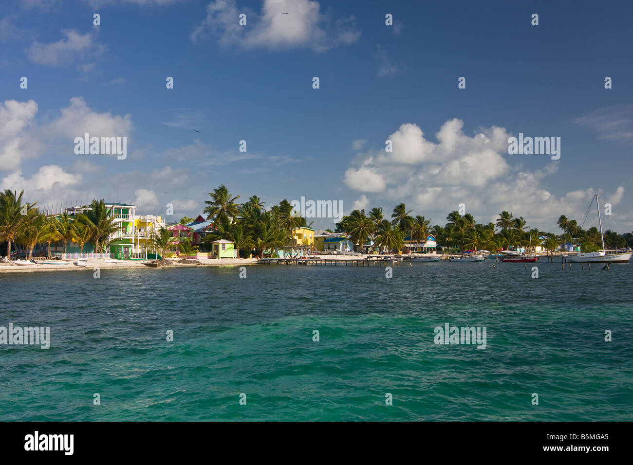 CAYE CAULKER, BELIZE - Waterfront showing hotels houses and palm trees Stock Photo