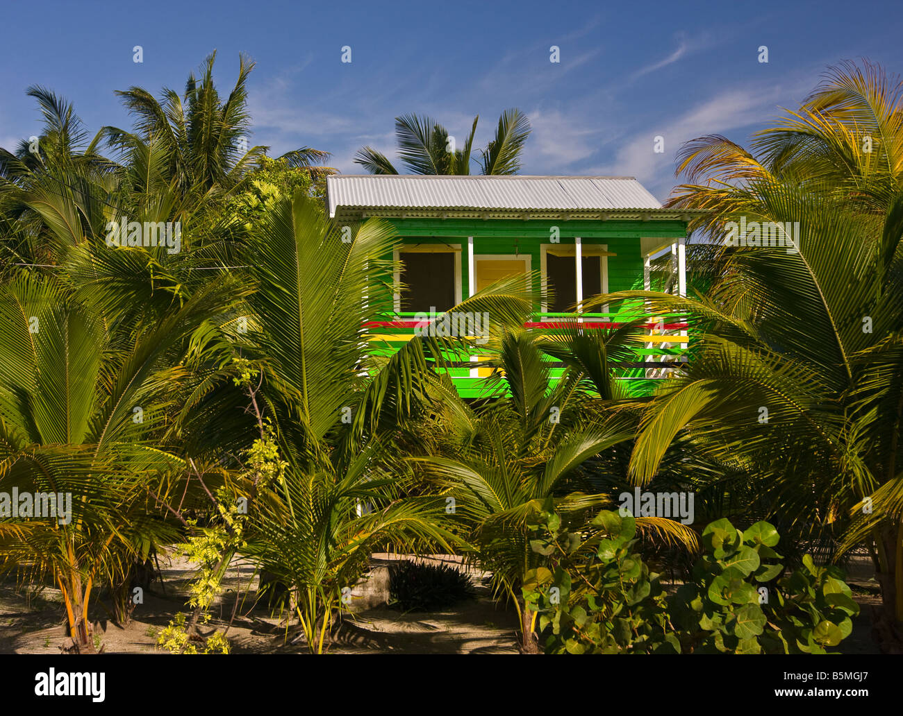 CAYE CAULKER BELIZE - Green cottage on stilts nestled among palm trees Stock Photo