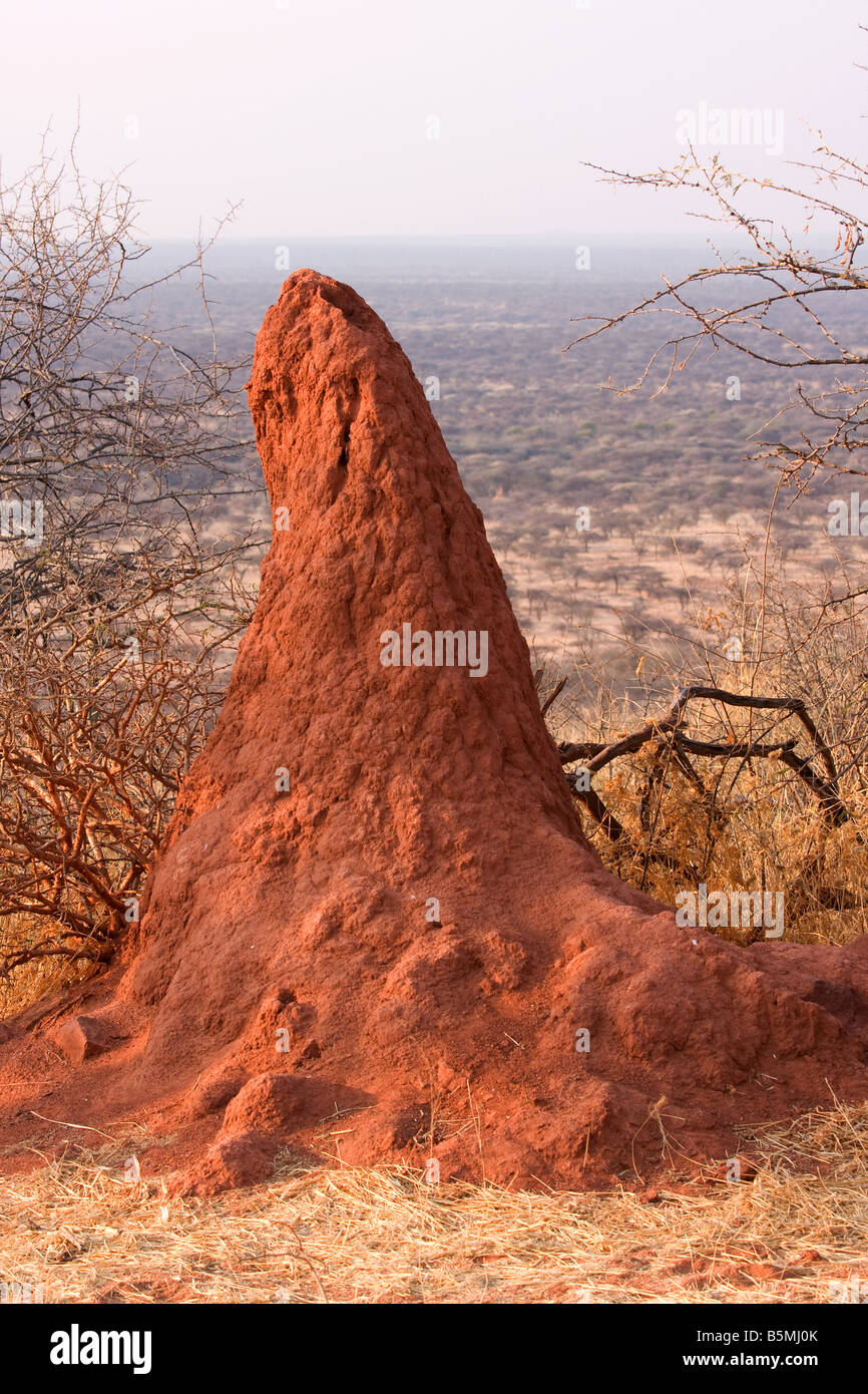 Termite Mound located in Etosha National Park, Namibia. Stock Photo