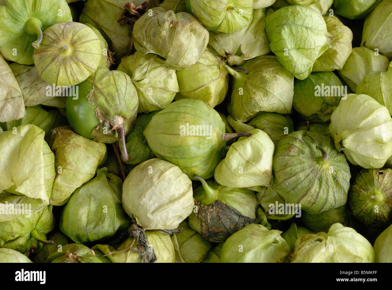 Tomatillos at an open air market Stock Photo