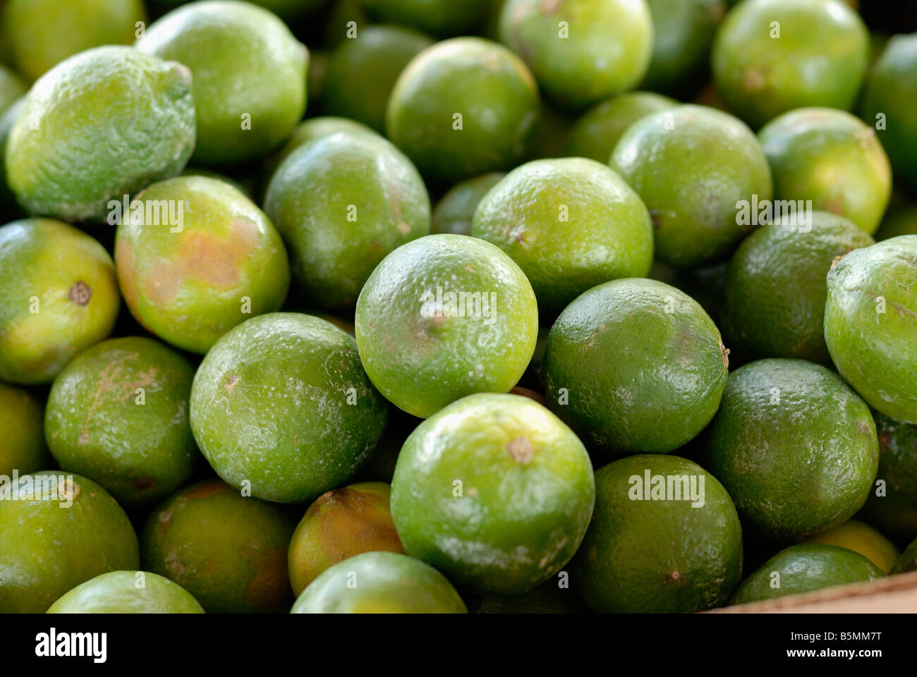 Limes open air hires stock photography and images Alamy