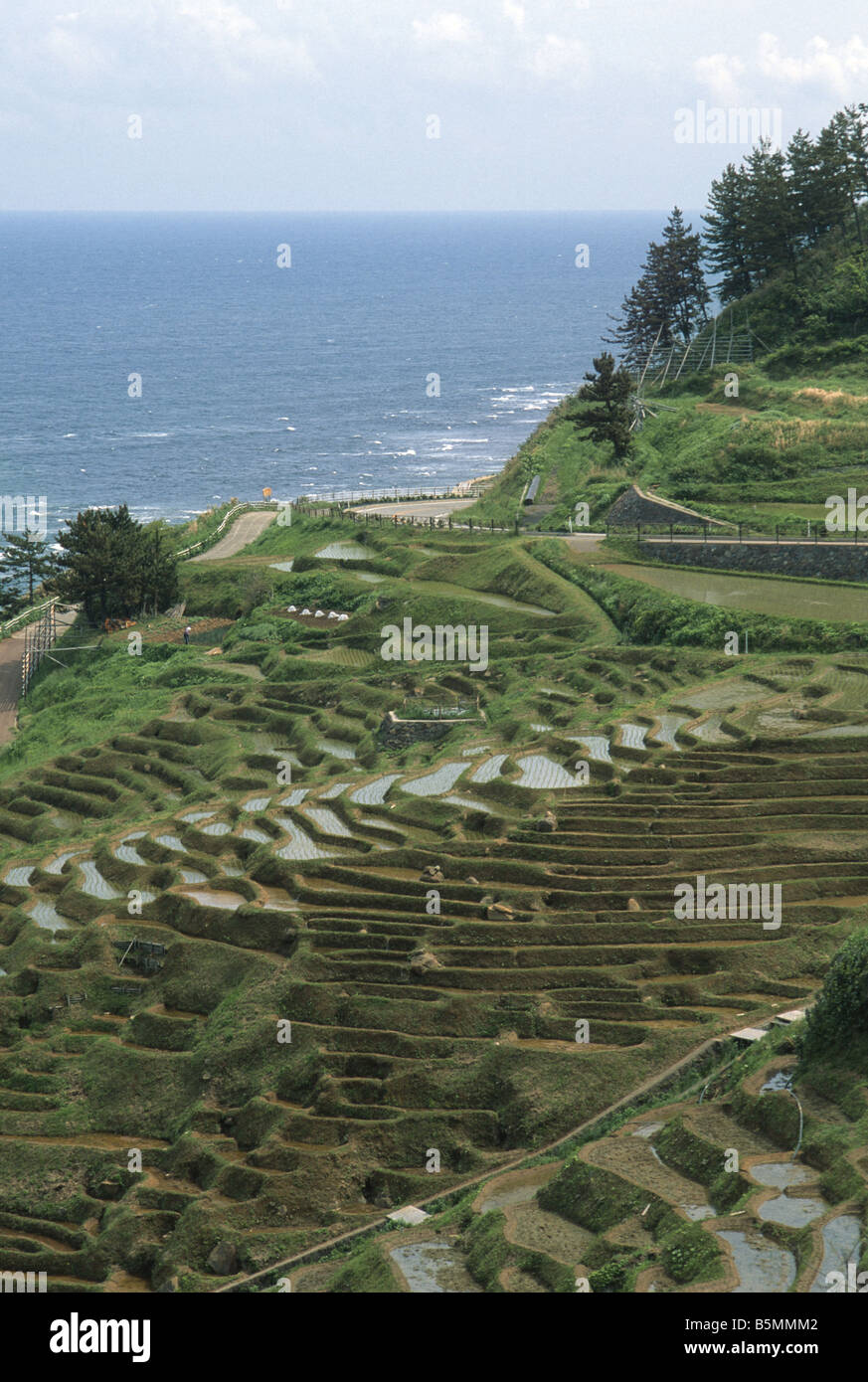 Senmaida thousand rice fields terraced rice paddies near Wajima Japan Stock Photo