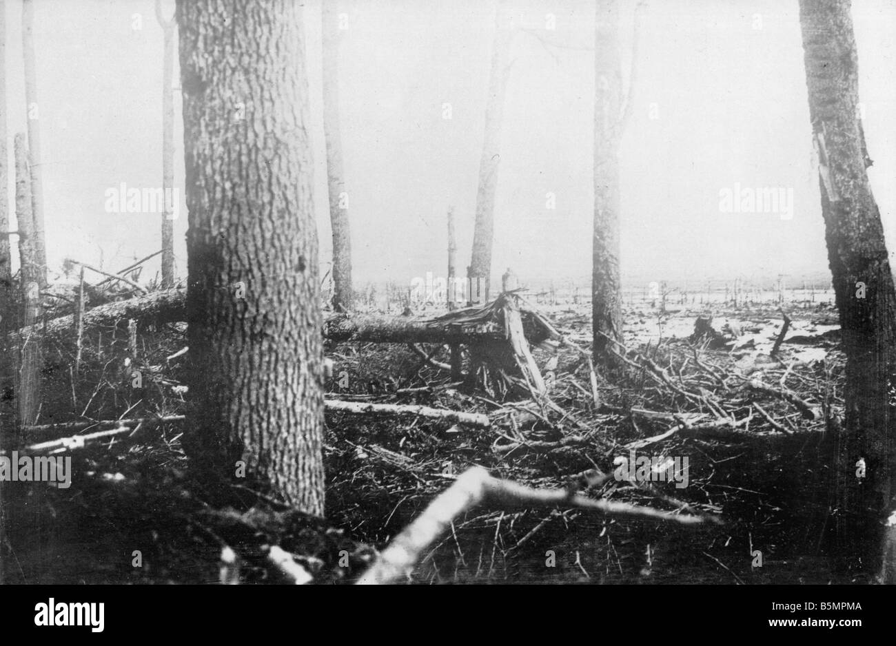 9 1916 3 18 A1 6 E Battle of Postawy 1916 Battlefield World War 1 Eastern Front Defeat of Russian troops after an offen sive on Stock Photo