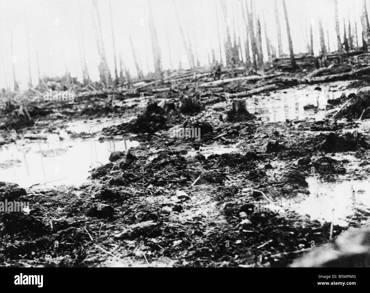 9 1916 3 18 A1 8 E Battle of Postawy 1916 Battlefield World War 1 Eastern Front Defeat of Russian troops after an offensive on t Stock Photo