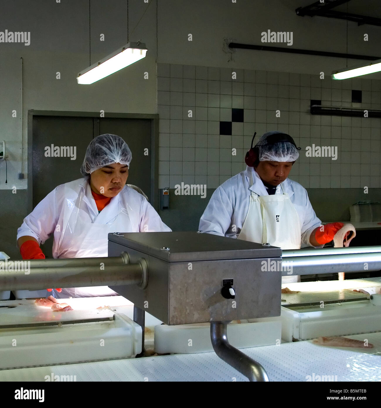 fish processing plant reykjavik iceland Stock Photo Alamy