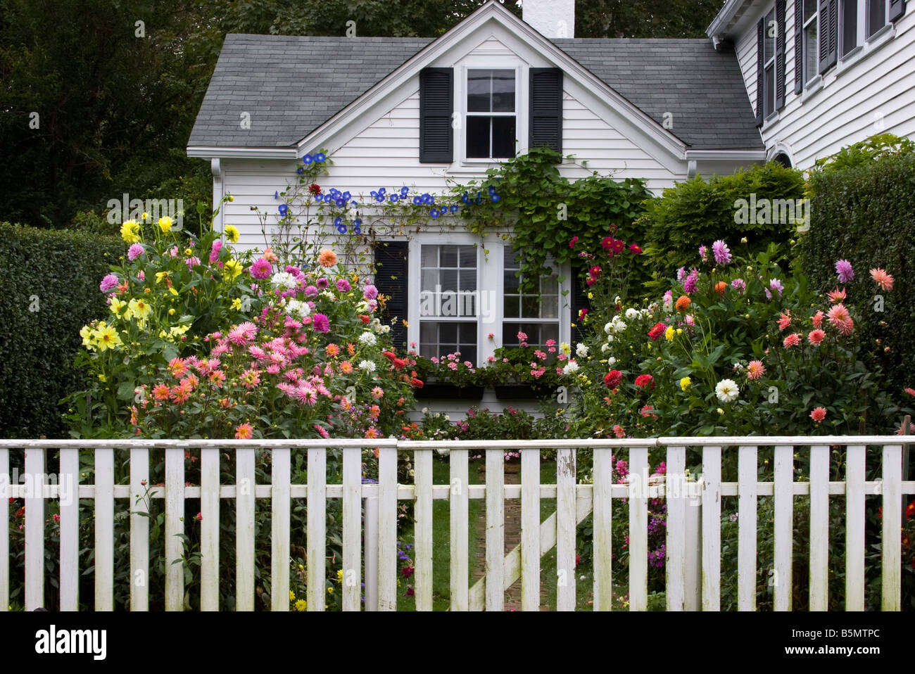 The front gardens of the Emily Post House in Edgartown, Martha's Vineyard, Massachusetts. Stock Photo