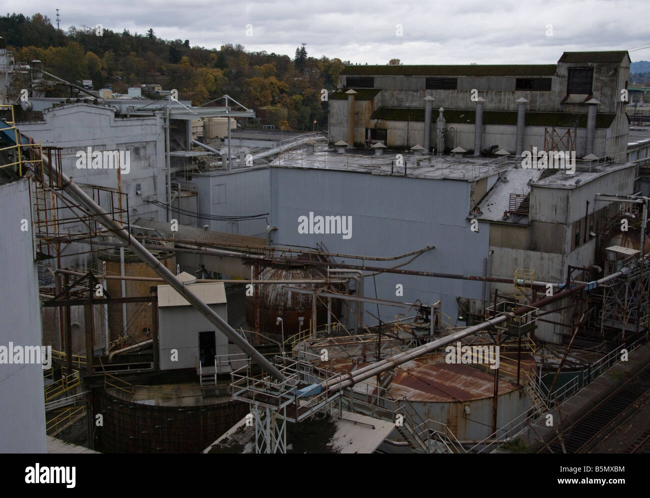 Blue Heron Paper Company Stock Photo Alamy