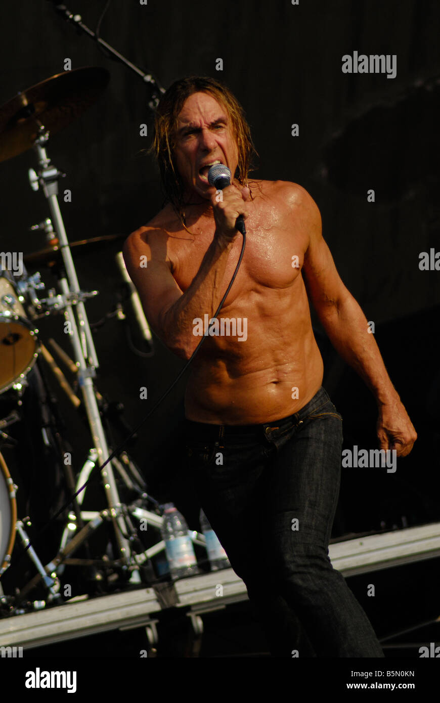 Iggy Pop, The Stooges Heineken Jamming Festival, Mestre Venice Italy 21  july 2008 Stock Photo - Alamy, image size:870x1390