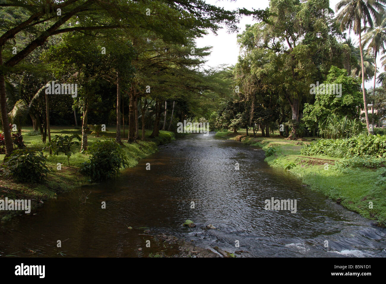 River running through Botanic Garden at Limbé Cameroon West Africa Stock Photo