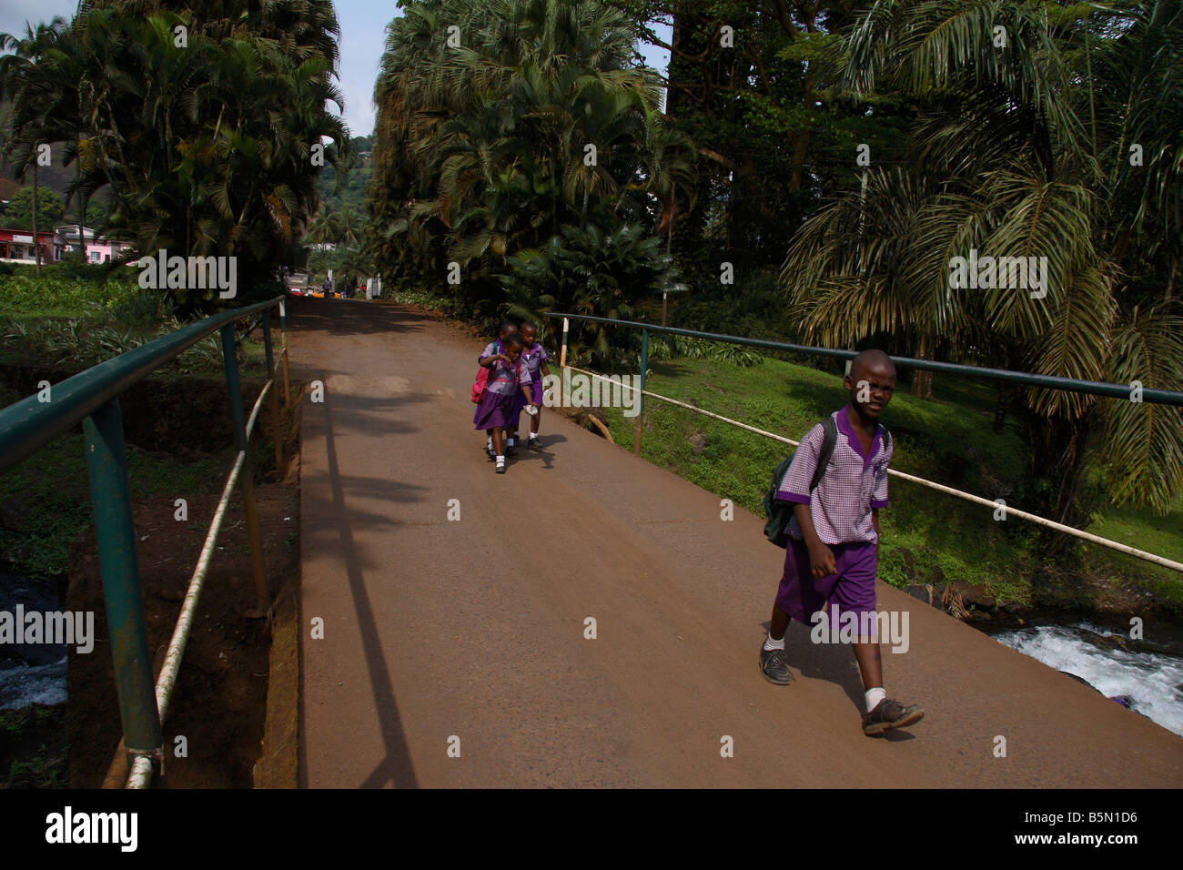 Junior school children going to school in Limbé Cameroon West Africa