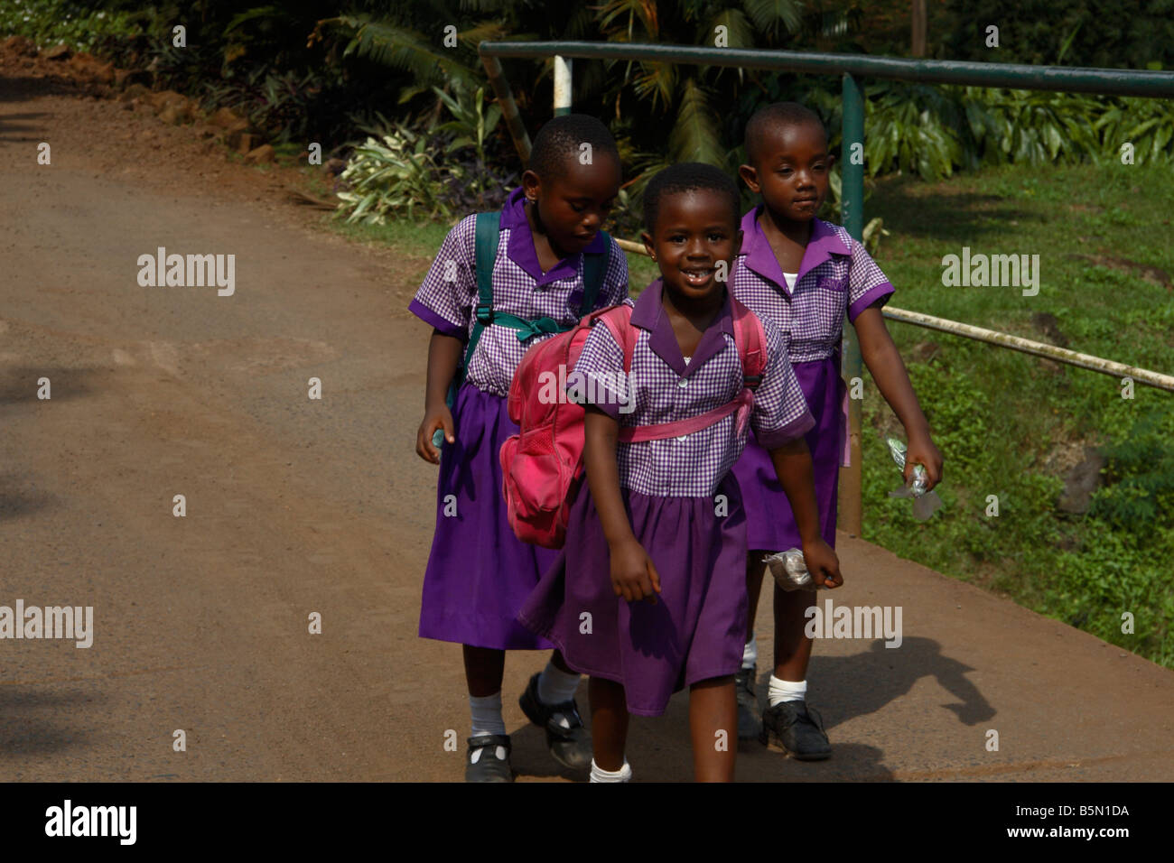 Junior school girls going to school in Limbé Cameroon West Africa Stock