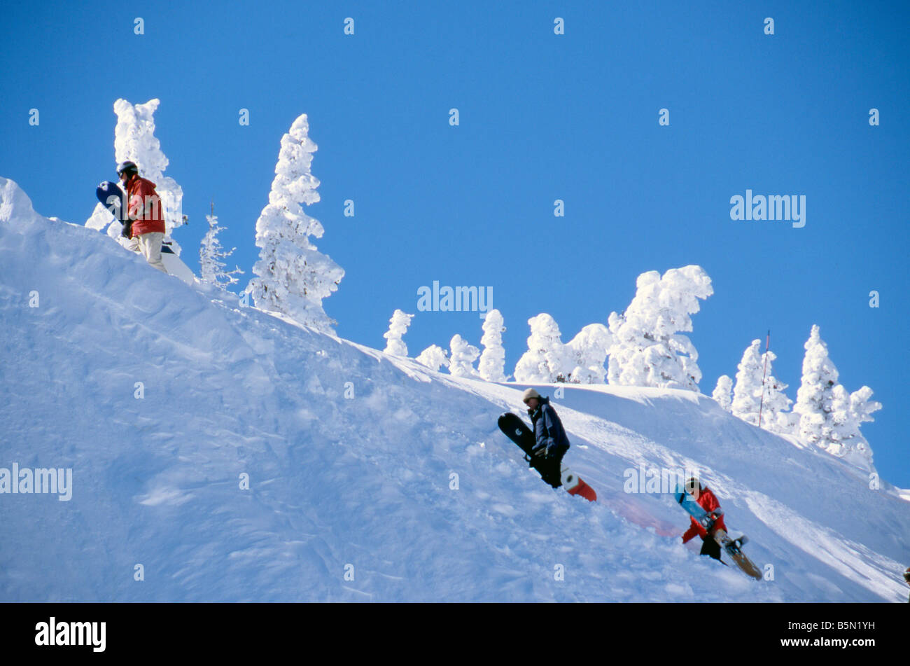 Snowboarders hiking up from the Alberta Lift to steeper terrain Wolf