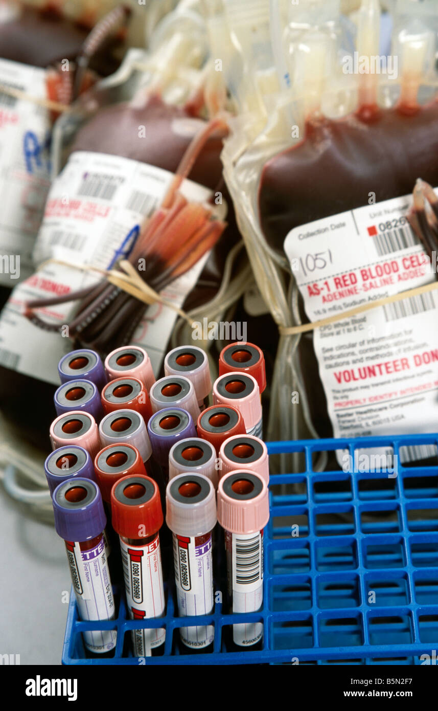 blood vials and bags at blood bank Stock Photo