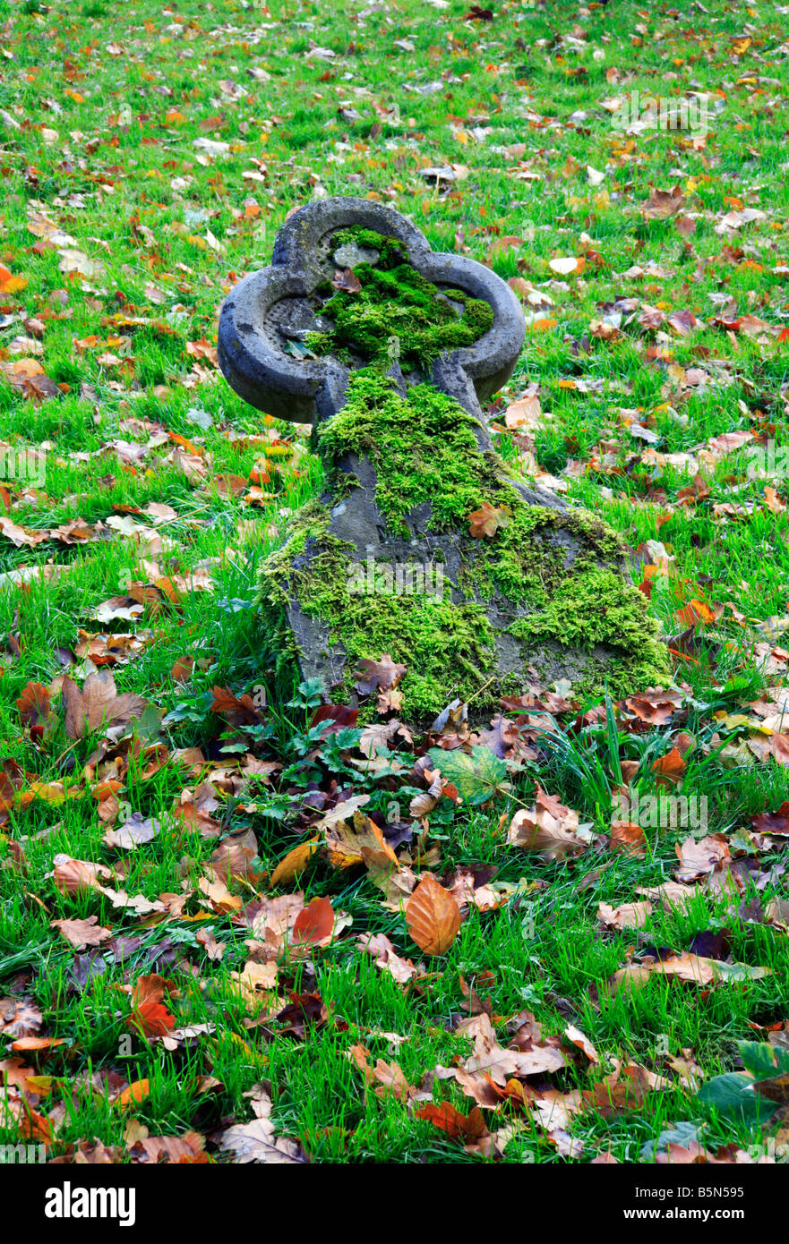 A fallen headstone covered with moss in an English country churchyard ...