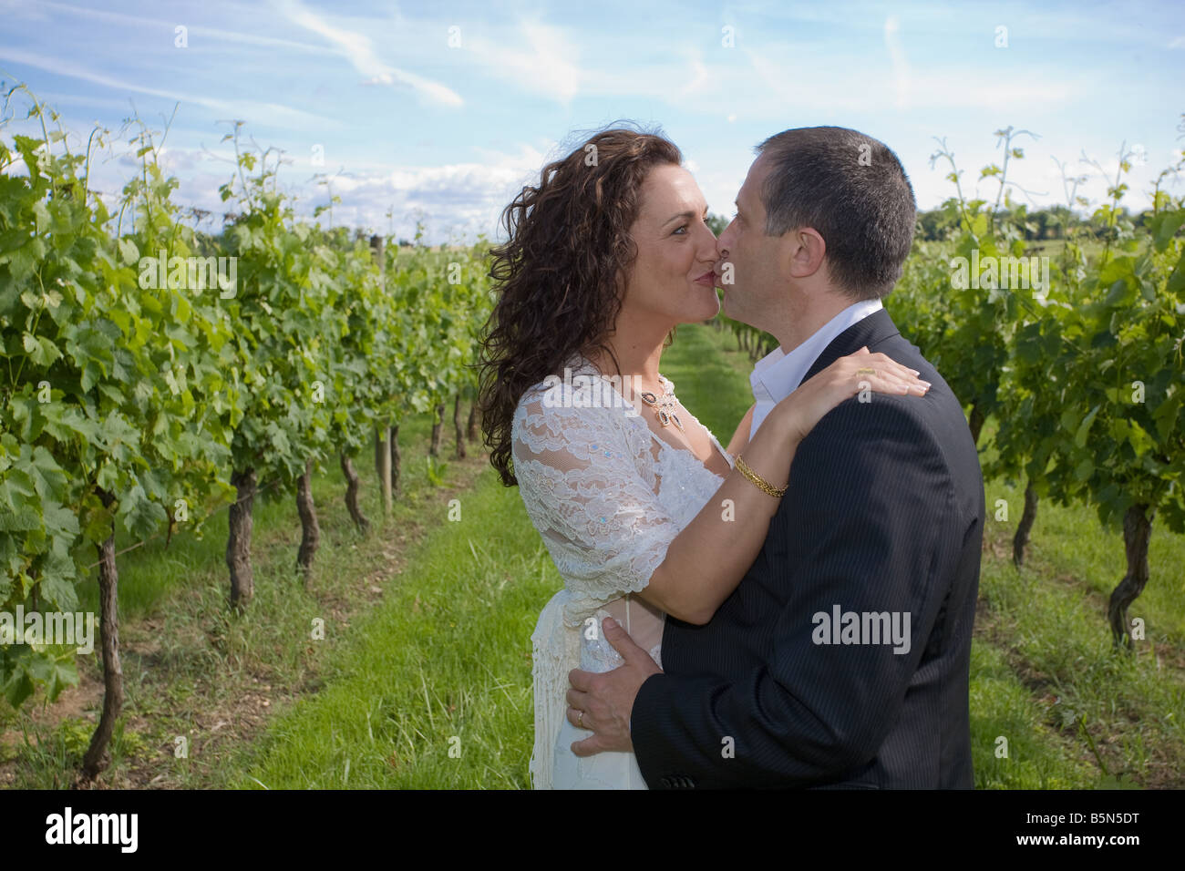 bride and groom kissing in vineyard Stock Photo - Alamy
