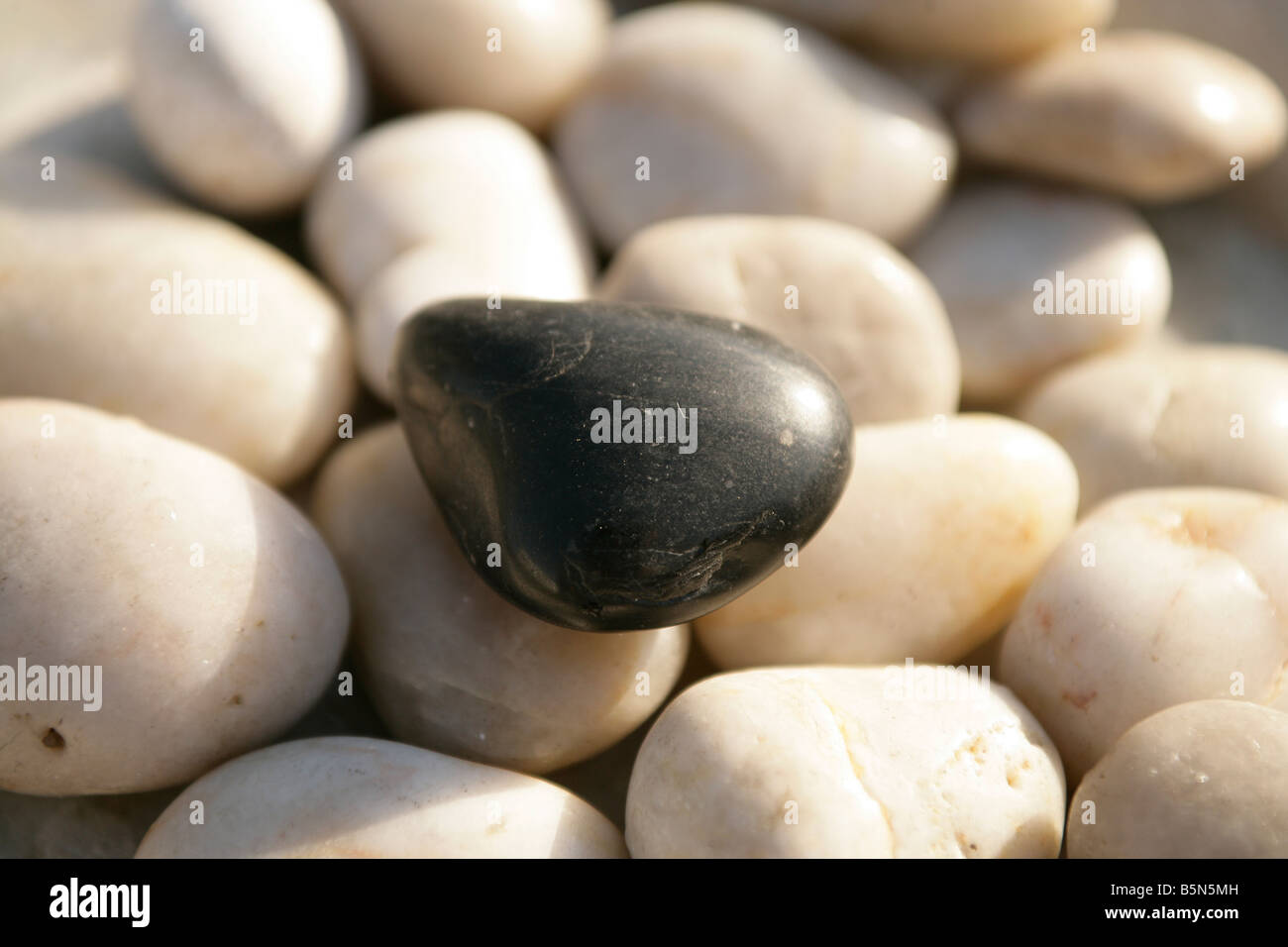 Wet pebbles on the beach hi-res stock photography and images - Alamy