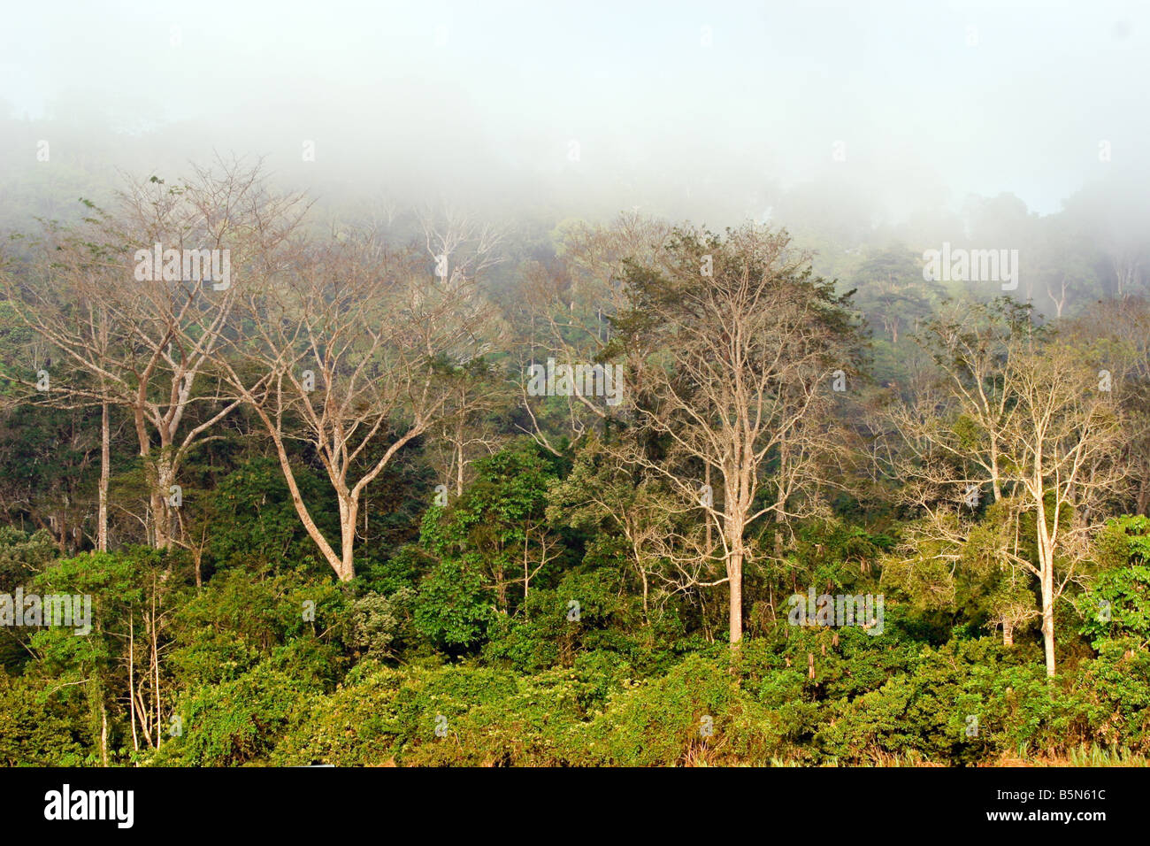 Page 2 Equatorial Climate High Resolution Stock Photography And Images Alamy