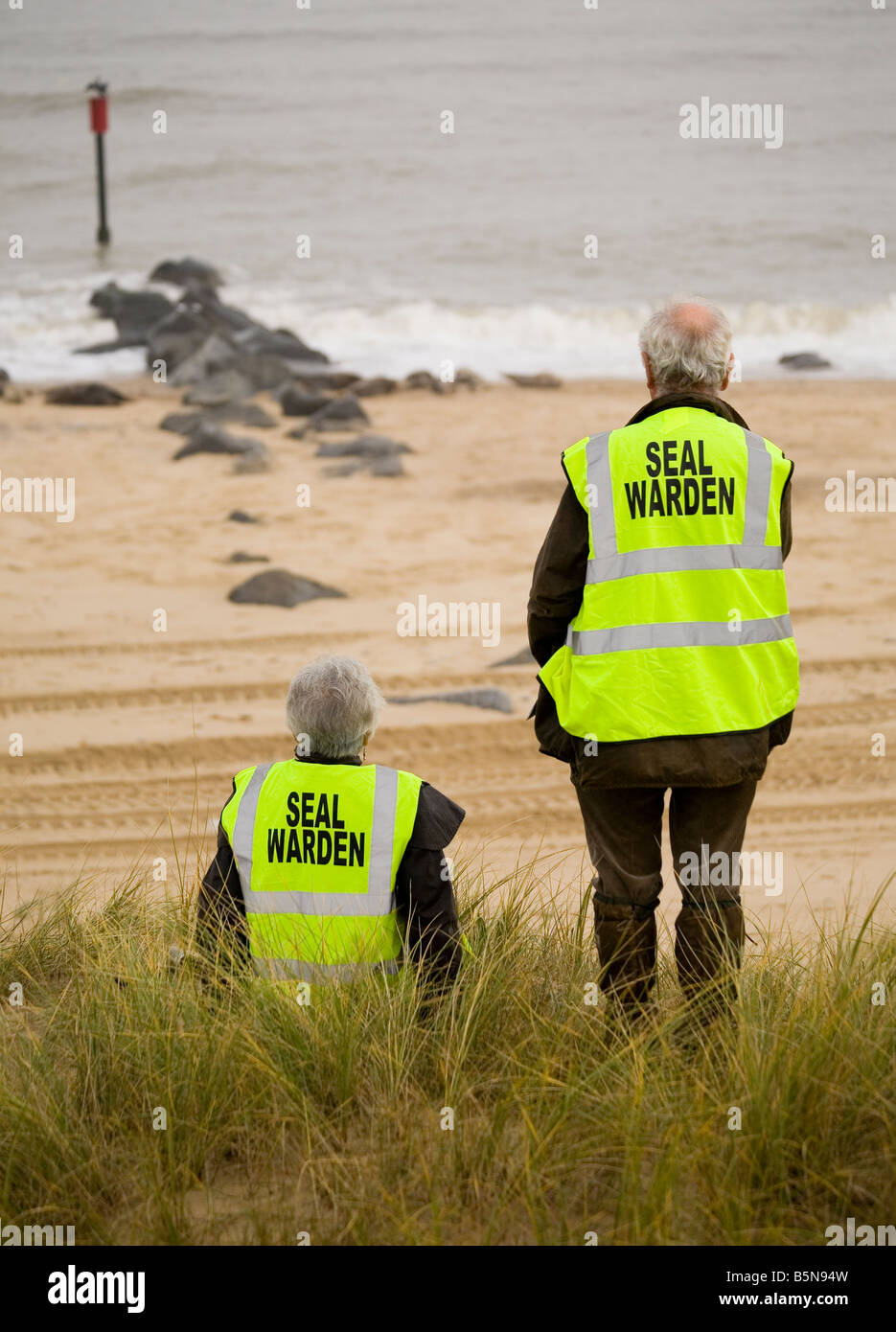 Seal Wardens at Horsey Gap Stock Photo