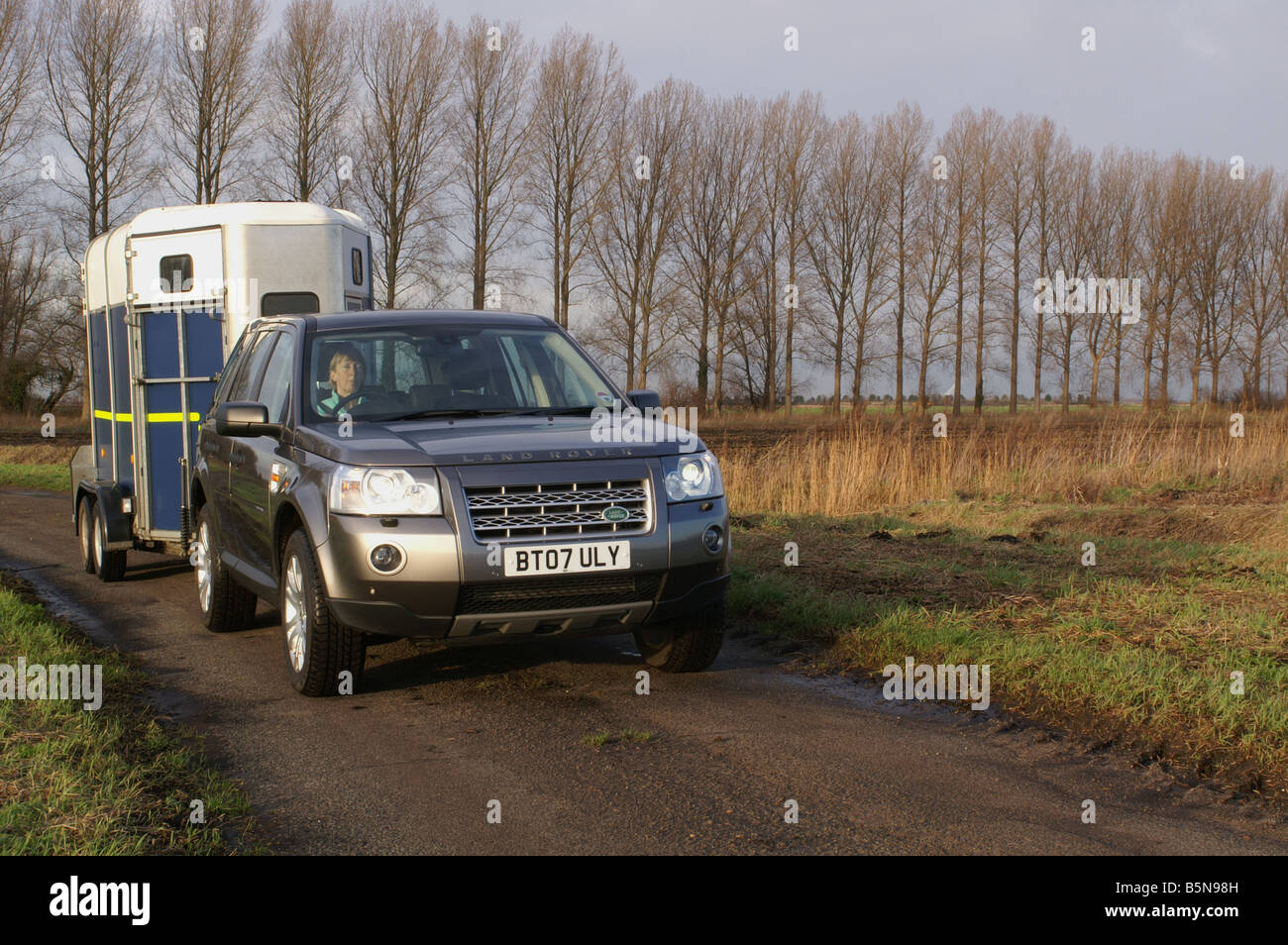 Land Rover Freelander 2 towing Ifor Williams horse trailer Stock Photo